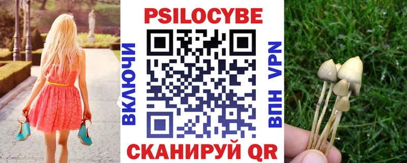 дарнет шоп  Новокубанск  Псилоцибиновые грибы MAGIC MUSHROOMS 
